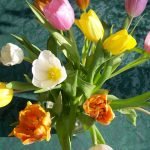 When Your Heart is Clean Then Life Becomes Colorfull (आपका दिल साफ होता है तो जीवन रंगमय हो जाता है) Clean Your Heart Life Becomes Colorfull