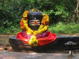 Saavan Puja,water with shell, Shiv Puja,worship Shivling, Lord Bholenath, Shiva Purana, शिवजी, भगवान शंकर,