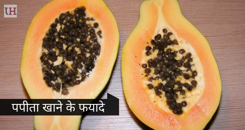 Papita Khane Ke Fyade - Papaya Benefits in Health Hindi me 7