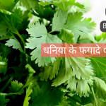 Dhaniya Ke Fyade – Coriander Benefits in Health Hindi me