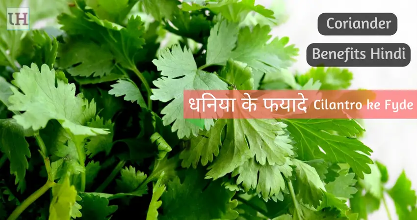 Dhaniya Ke Fyade - Coriander Benefits in Health Hindi me 2