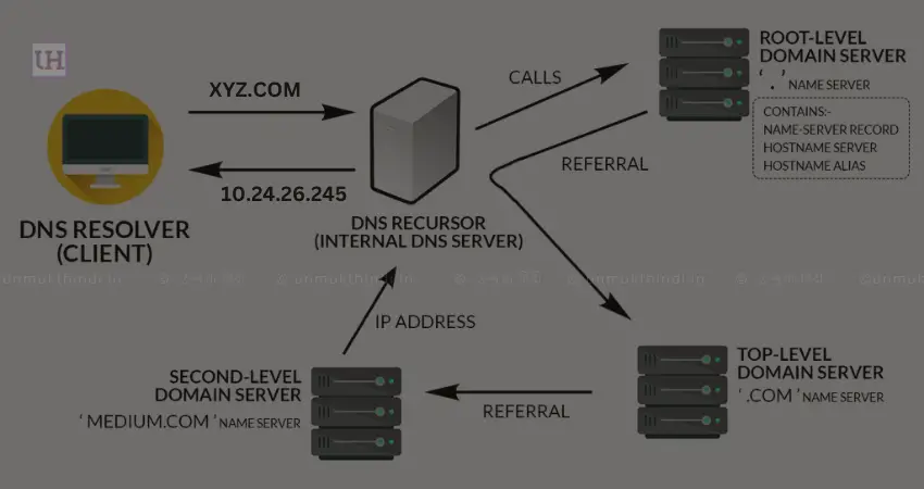 DNS Server function chart